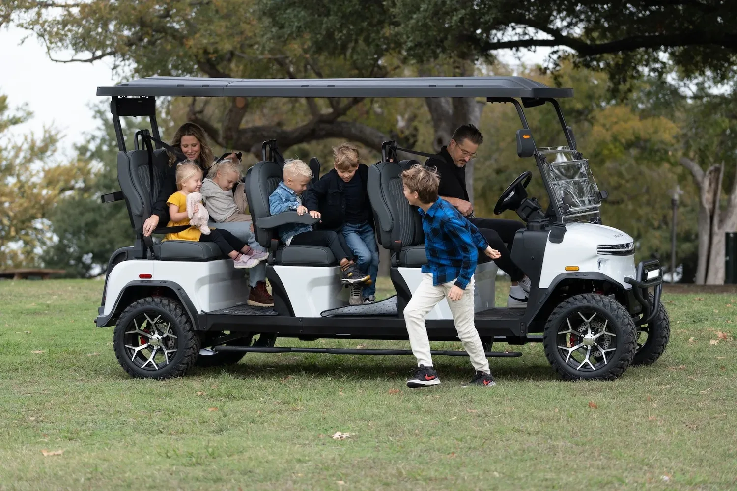 Carro de golf Rover XXL Denago EV
